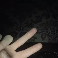 vvvvibster