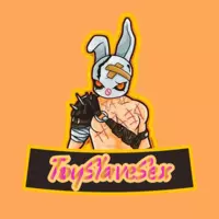 ToySlaveSex