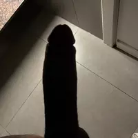 ivoplayboy
