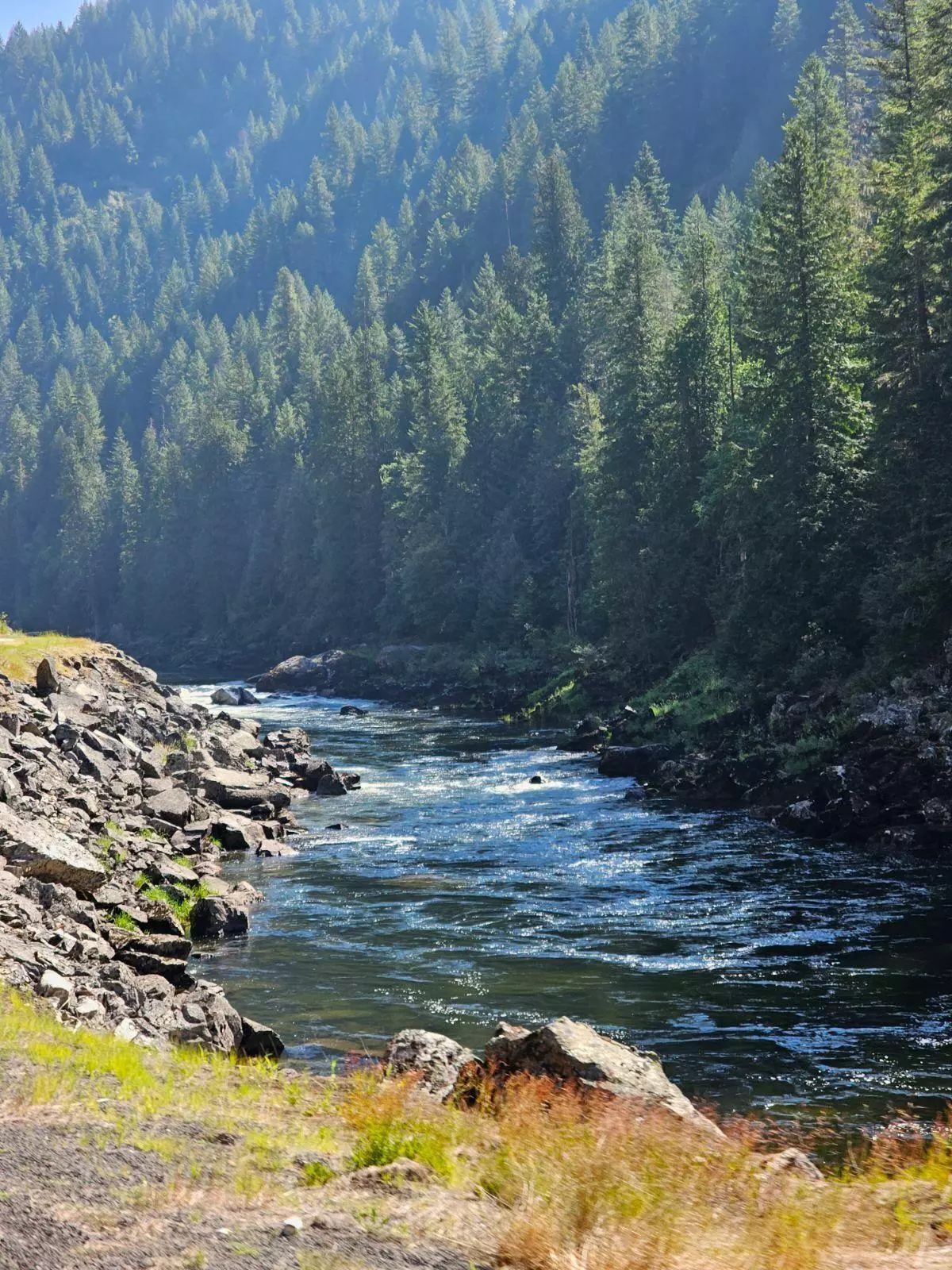 naughtylilvixxen profile