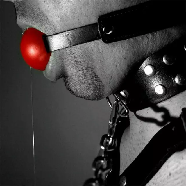 mrgoodfox profile