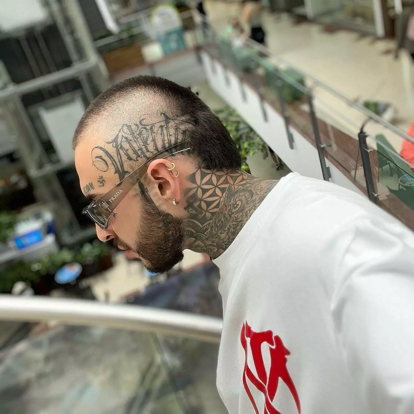inkedvicenzo profile