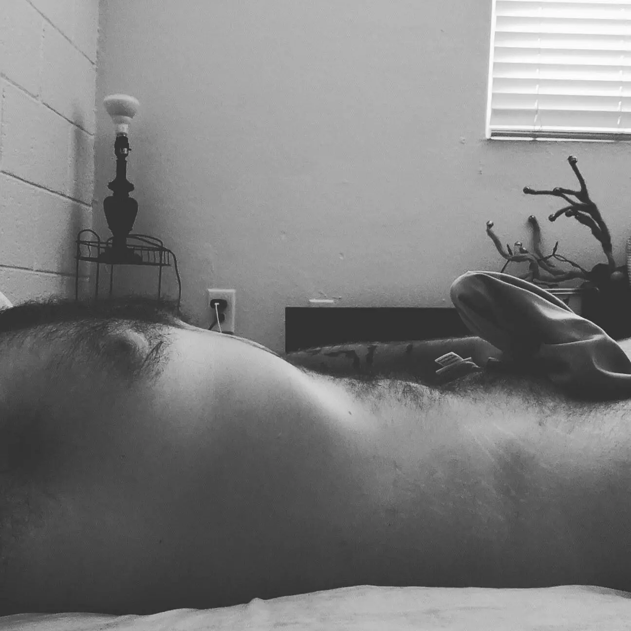 beardotronius profile