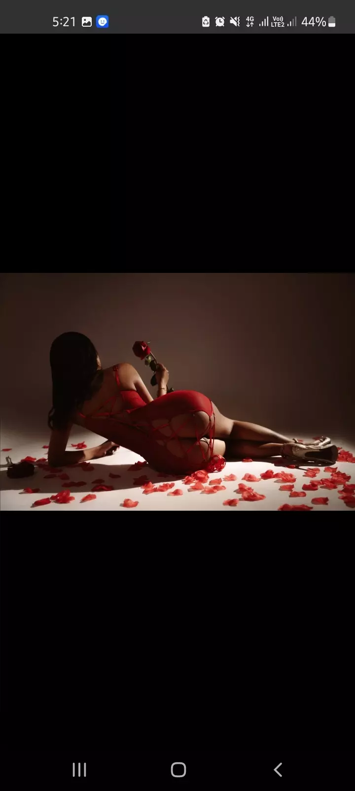 sophiesmith11 profile