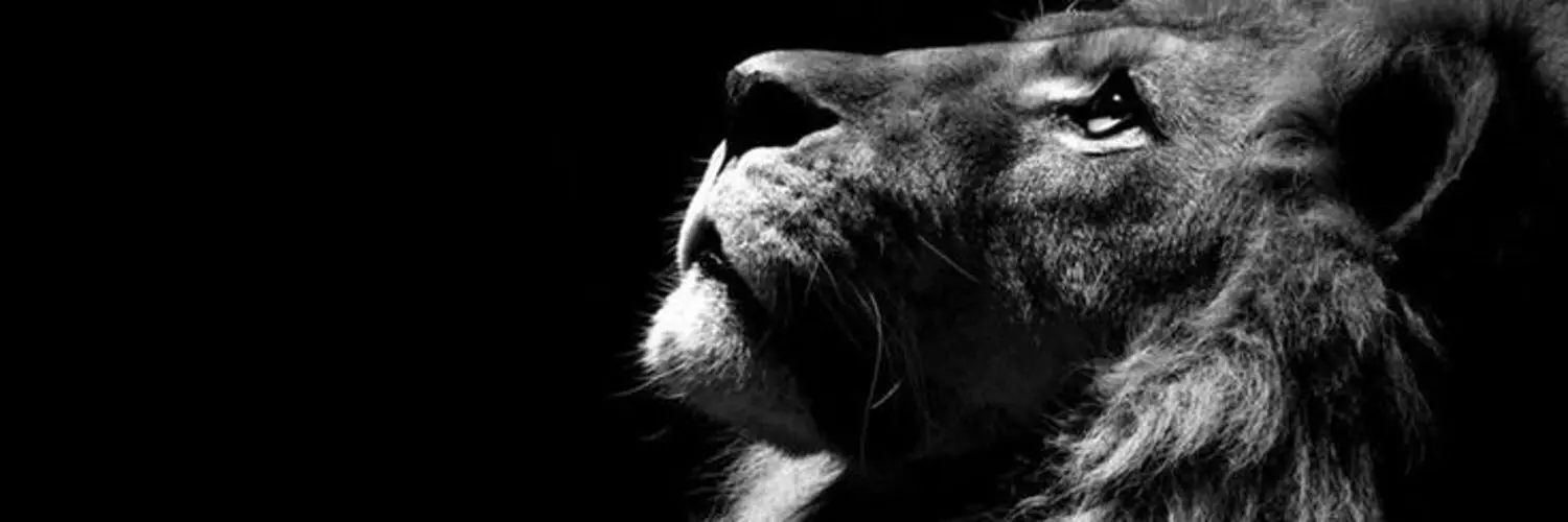 titandecarne profile