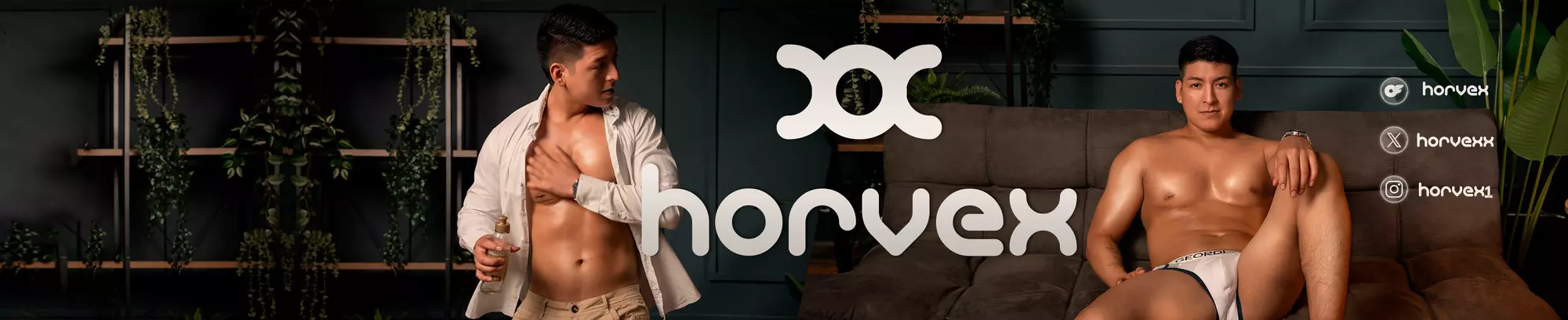 horvexx profile