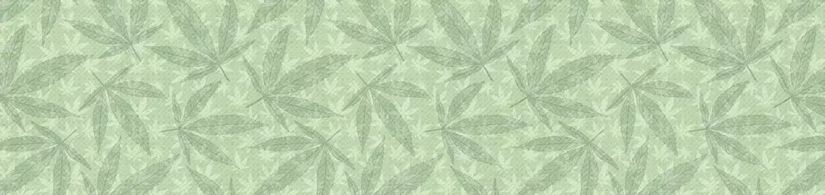 asianbitchmisty profile