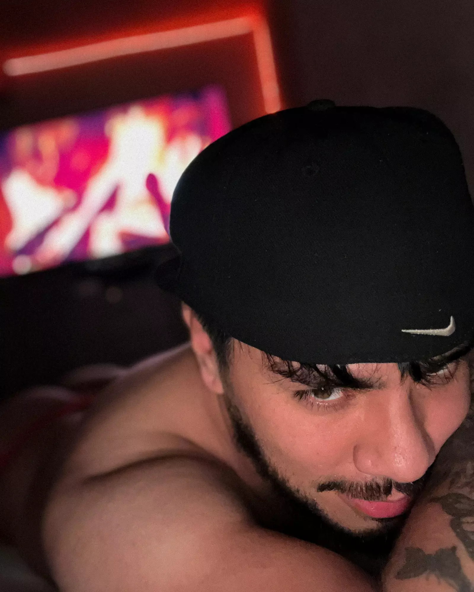 tommidubois profile