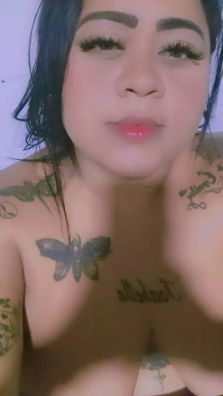 scarcecherubim profile