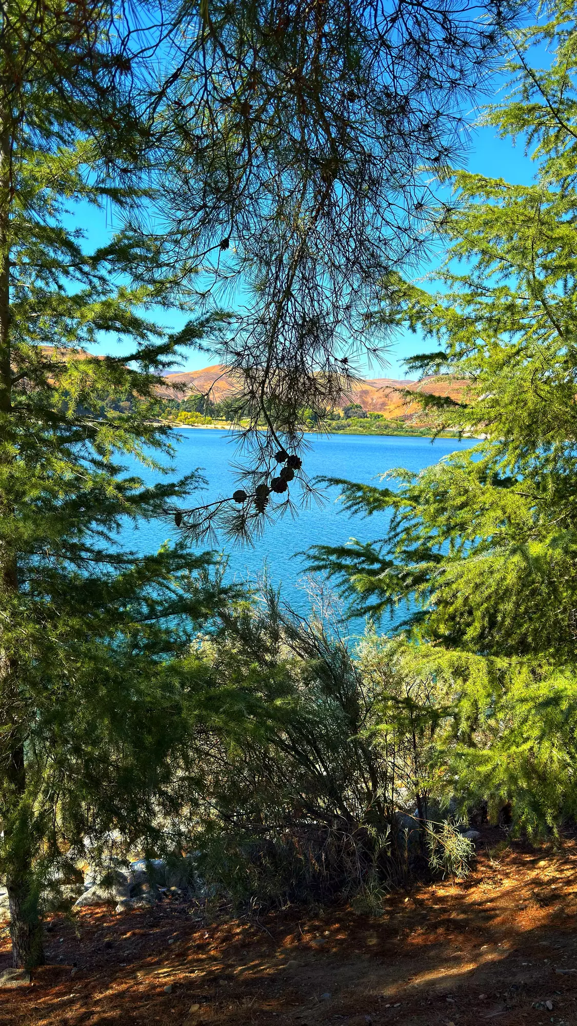 littlerabbit762 profile