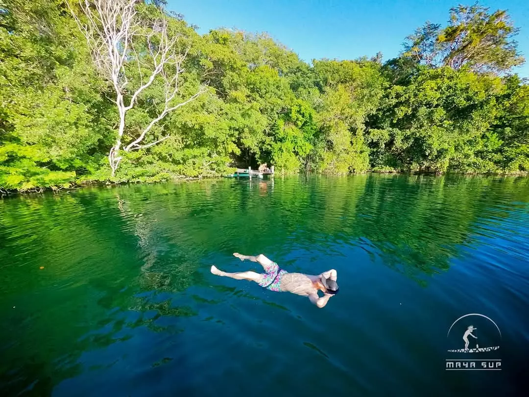 jorgedaleche profile