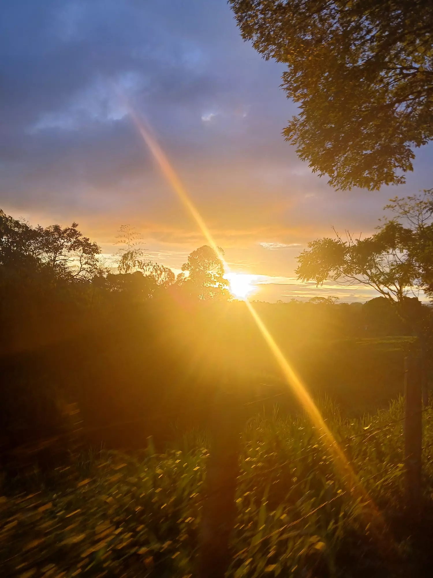 intimatecouple profile