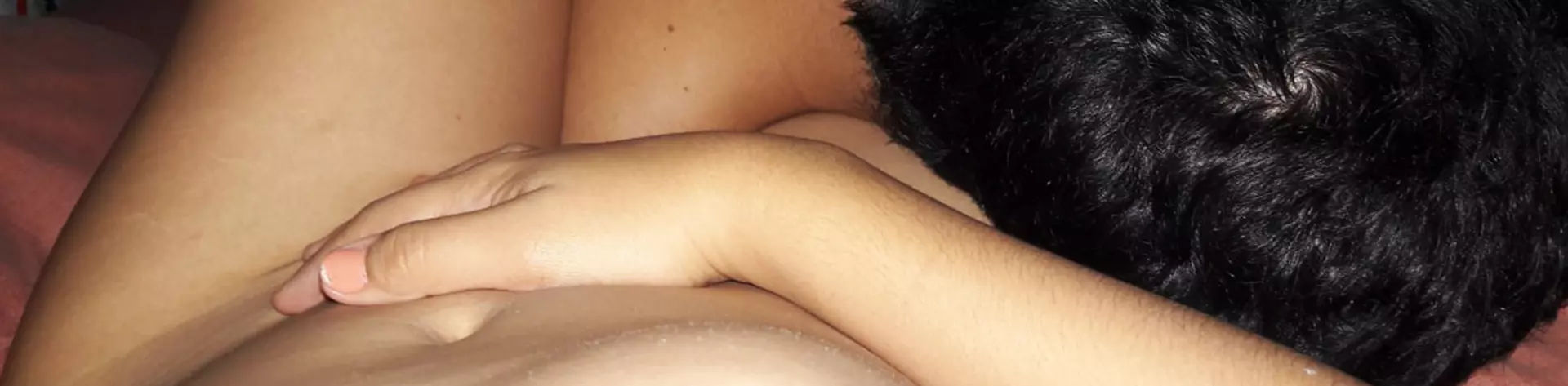 gattomulato profile
