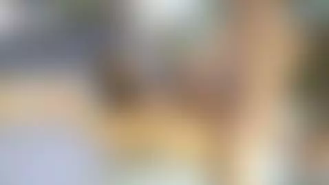 Eliza gets rawdawg'd by her suitor by camsoda