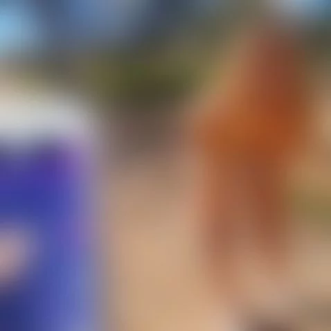 super hot teen goes out on a hike with a lush vibrator in...... by camsoda