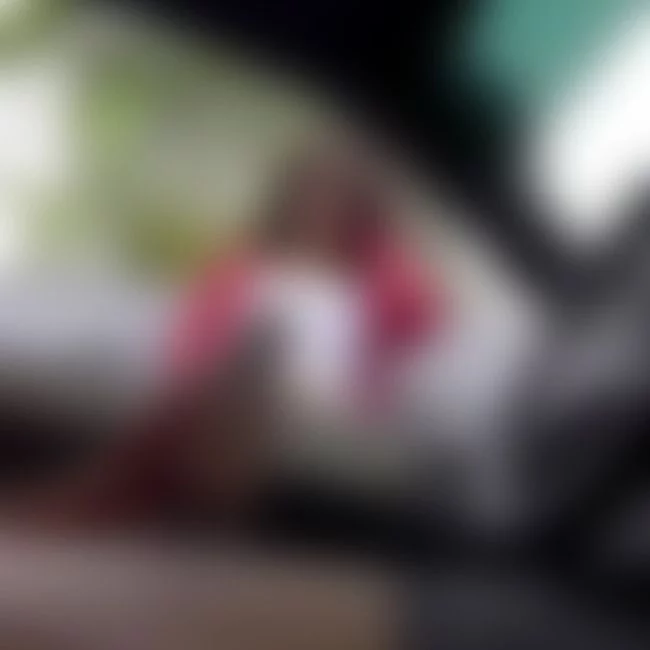 Parking Lot BBC claims another victim! by camsoda