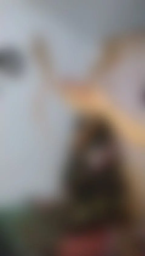 Merry Christmas 🎄🥳🎉🎉 by lauratoro