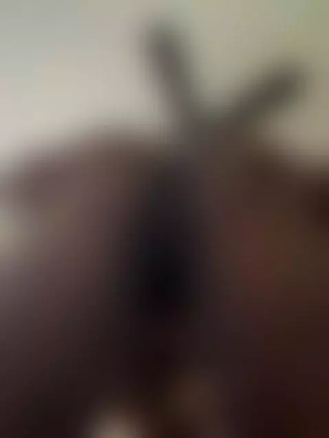 Good Morning From The Tightest on Camsoda! by kitty-kash