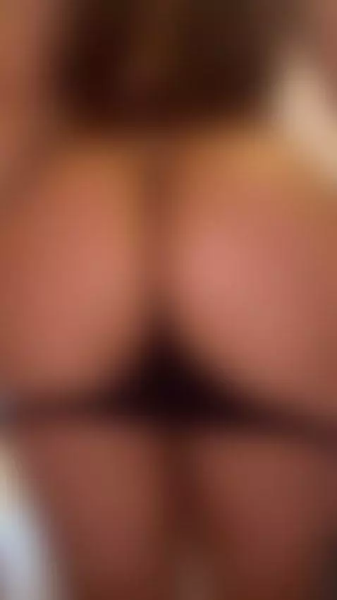 Just peachy 🍑🐱 by honeykitty