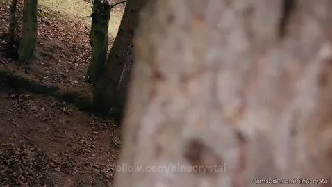 Follow me in the woods! by ninacrystal