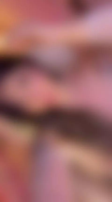 https://es.stripchat.com/Rachel_collins_ by jaydedanne