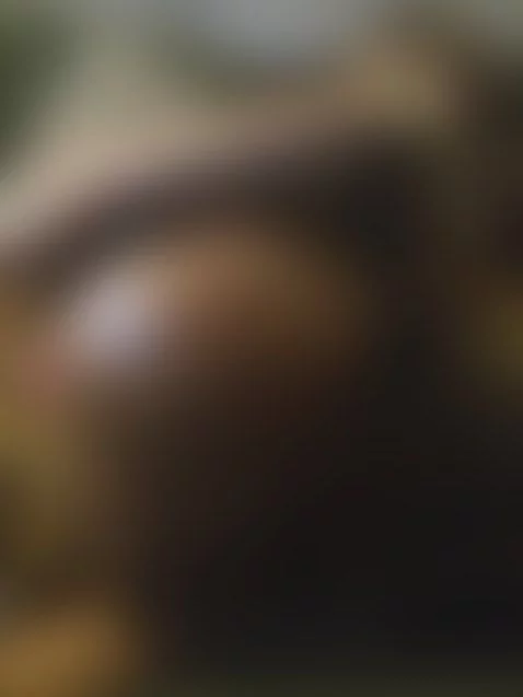 Chocolate Paradise👅 by nicolebaby