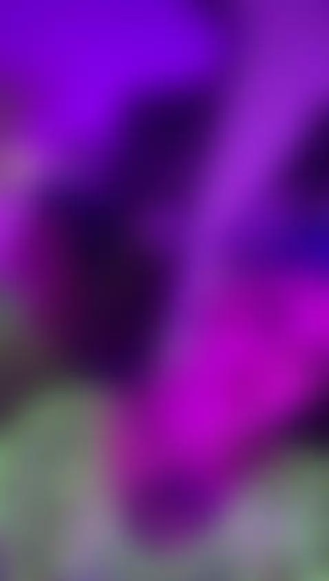 Shatters my nylon by amyhouse