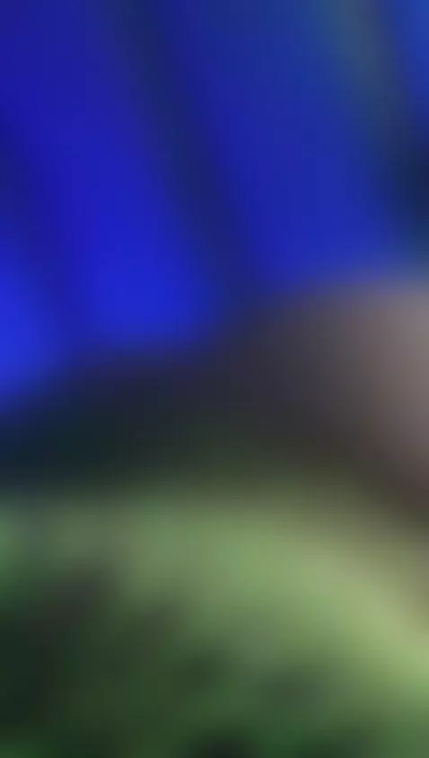 🔥Destroy my pussy with vibes 🔥 Fuck machine active 199tks 💦 ... by amyhouse