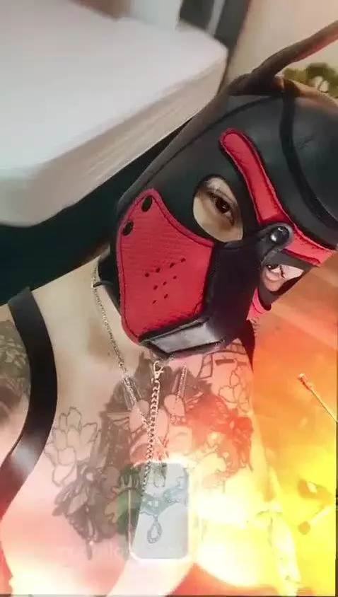 hey master, want a slave ? by amyhouse