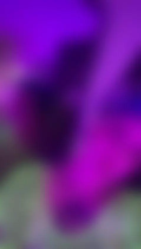 Come on master by amyhouse