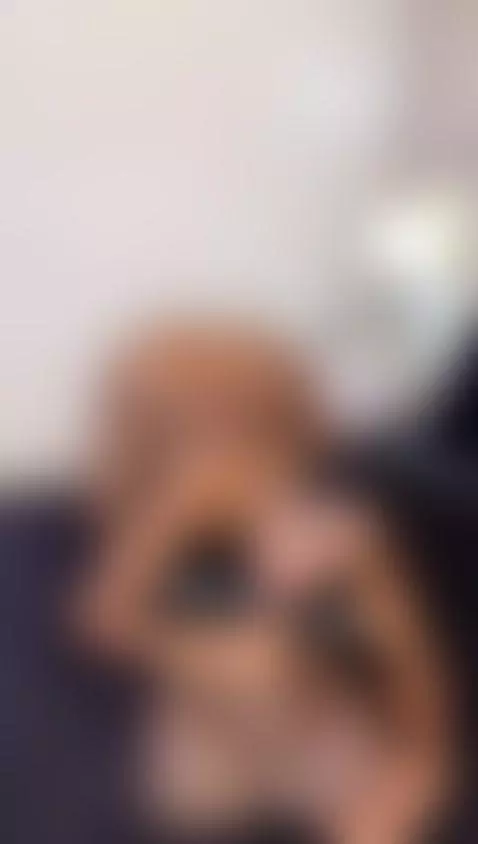 You can picture me like this in your room? 👅🌹 by clairemiller