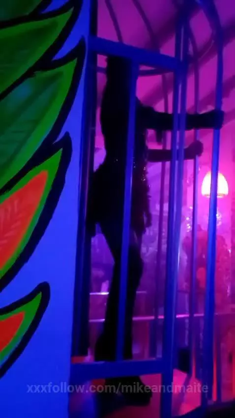 I LOVE DANCE DISCO! by mikeandmaite