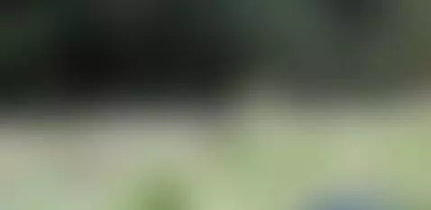 naturaleza🥵😍🌱🌱🤍😍🌈🌿🌿🌿🌿🌿 by mikeandmaite