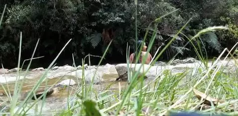 naturaleza🥵😍🌱🌱🤍😍🌈🌿🌿🌿🌿🌿 by mikeandmaite