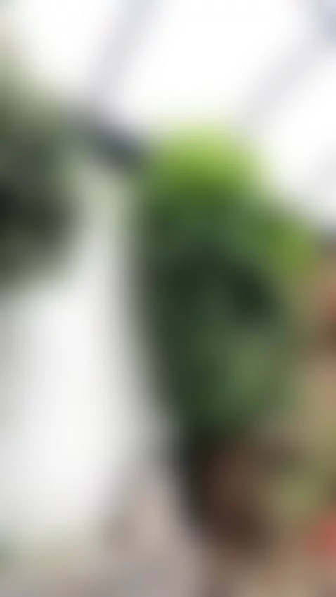 FOLLOW ME  !! by maluqueen