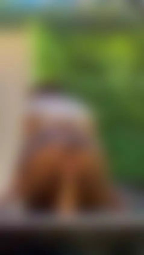 Opsss by julliacarter