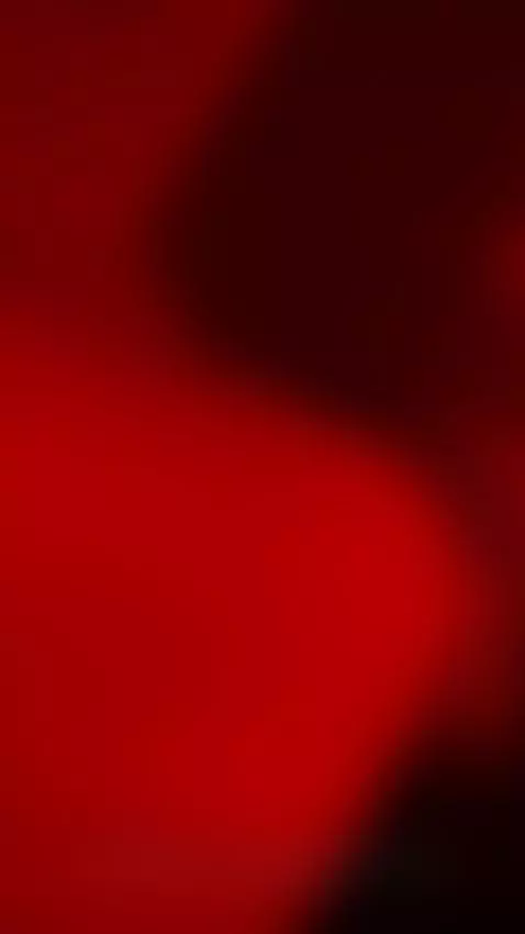 come here, i want to know u by alicecortes