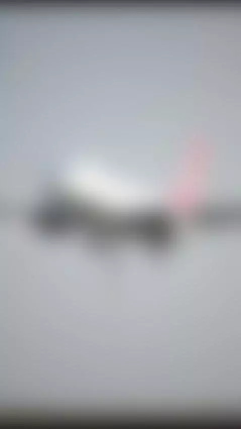 latina, tiktokporn, bigboobs by tefavega