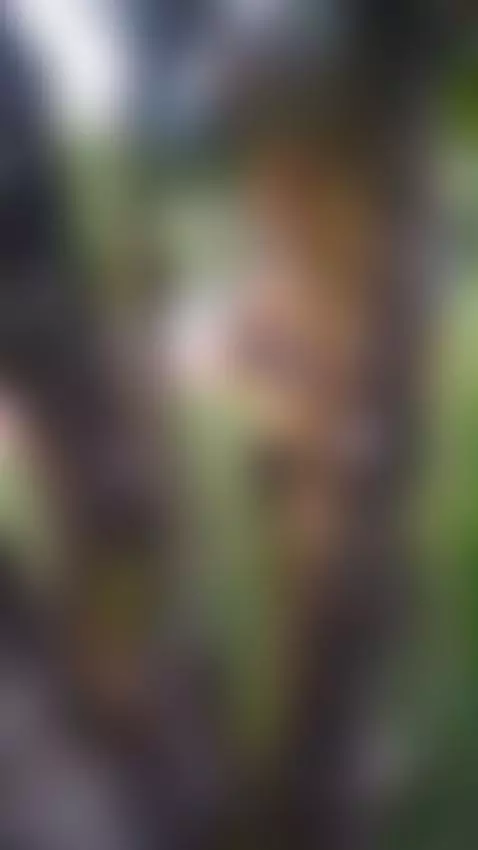 What if we take these mangoes? mmmm by kendraharper