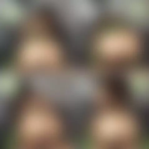 MULTIPLE CHOICE ‼️
A. B. C. or D? 😋 by medusamu