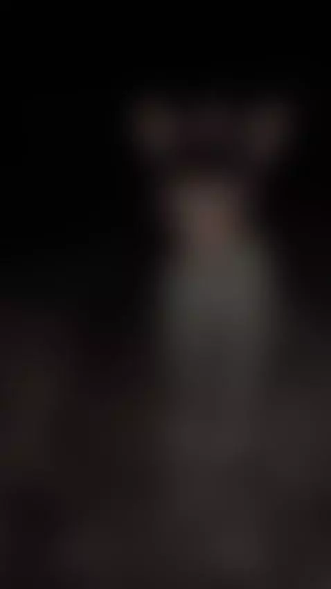 Do you want melons for dinner? by paulaturbay