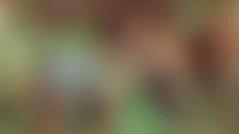 blowjob kawai egirl by nycdiamond