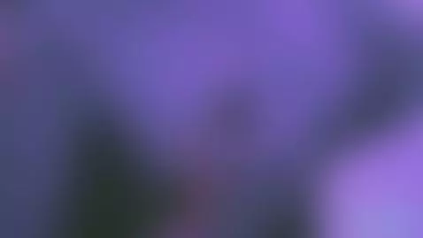 Latin sensuality by melanysummer