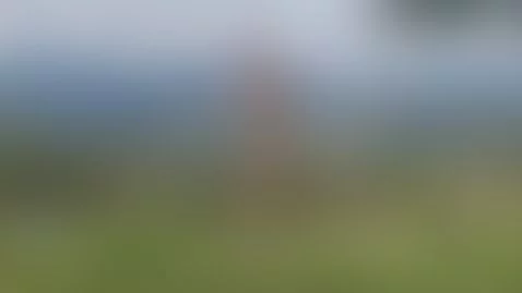 how about the landscape by maggiejones