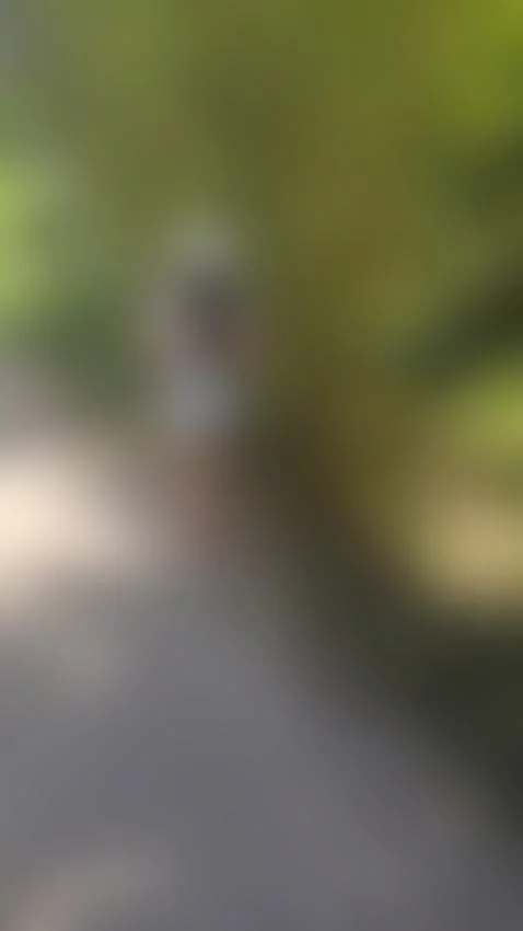 a quiet walk by maggiejones