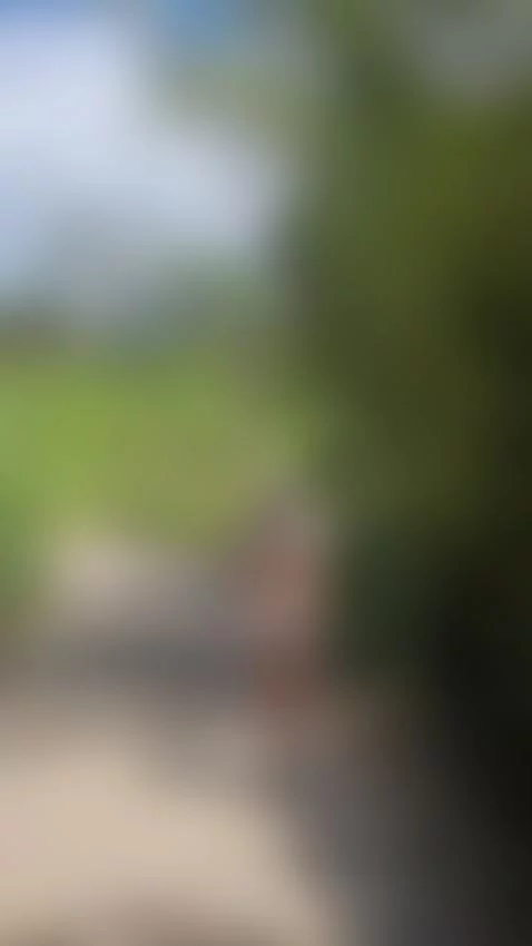 i almost got caught by maggiejones