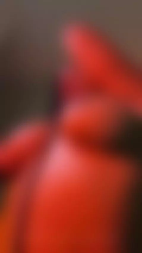 you like to see me above you daddy ? 🫦 by saamytits