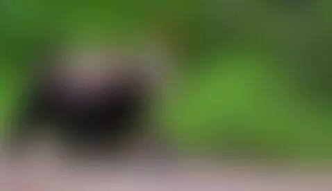 Video by testmodel-14