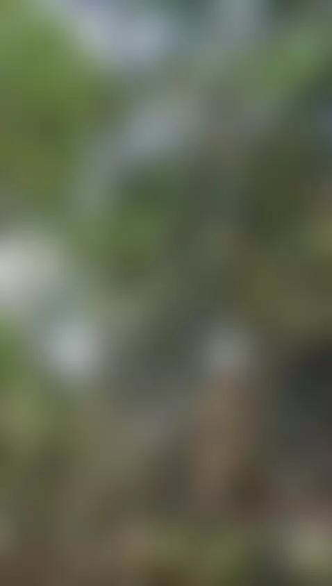 Video by testmodel-14