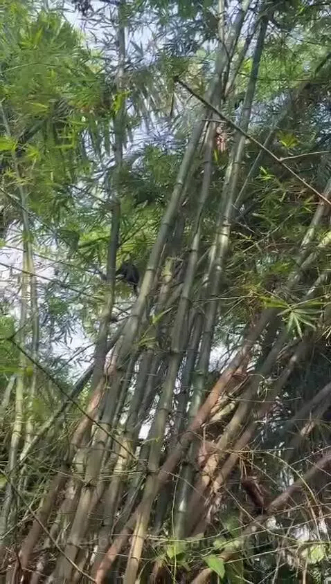 Video by testmodel-14